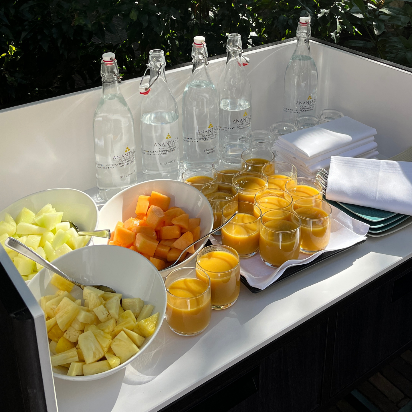 Guided Breathwork & Ice Bath Ritual